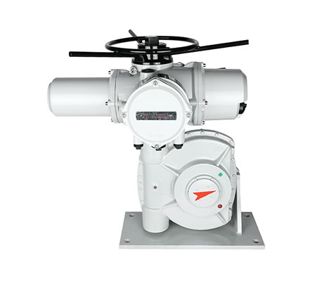 RIM+BW High Torque Angle Stroke Model